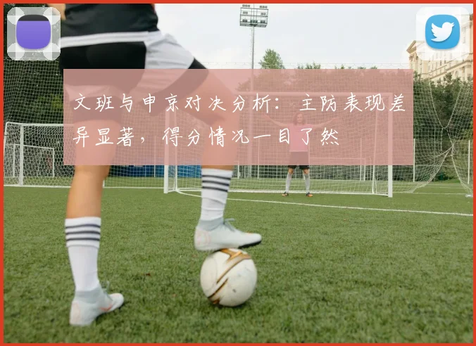 文班与申京对决分析：主防表现差异显著，得分情况一目了然
